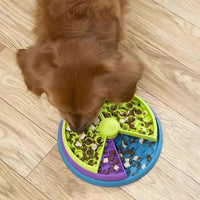 Interactive Puzzle Slow Feeder Bowl™